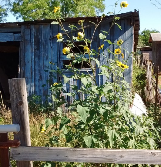 IMG_20170331_104342900